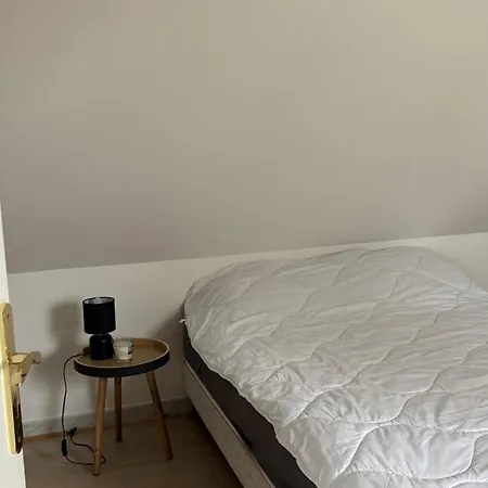 Apartment Maison D'hote Le Mans